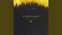 Future of Forestry - Light Has Come